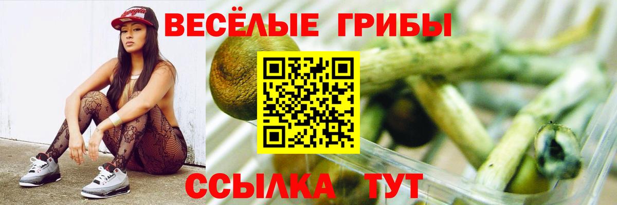 Котлас  Галлюциногенные грибы Magic Shrooms  Вход с VPN 