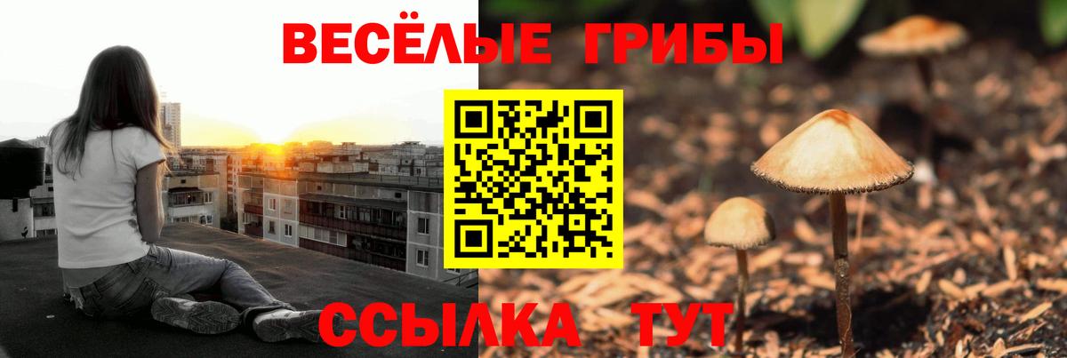 Псилоцибиновые грибы мухоморы Котлас